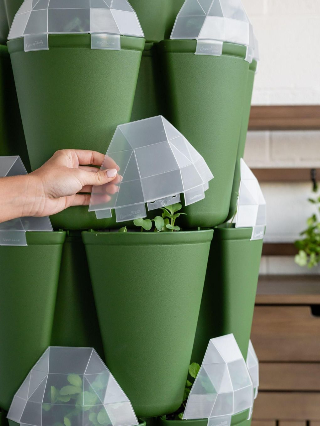 Seed House - Set of 6