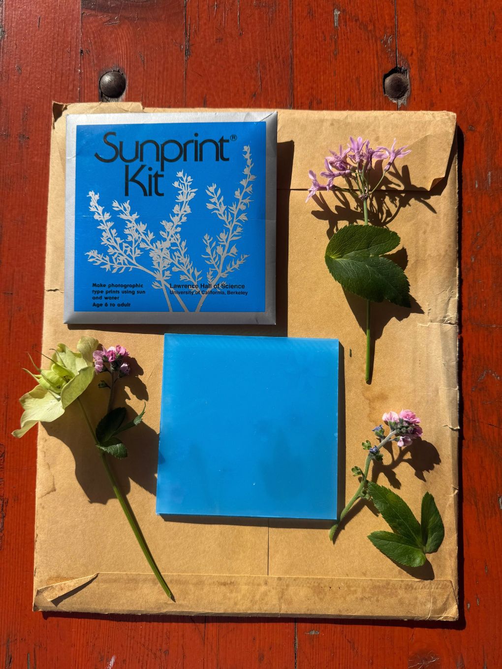 Sunprint Kit