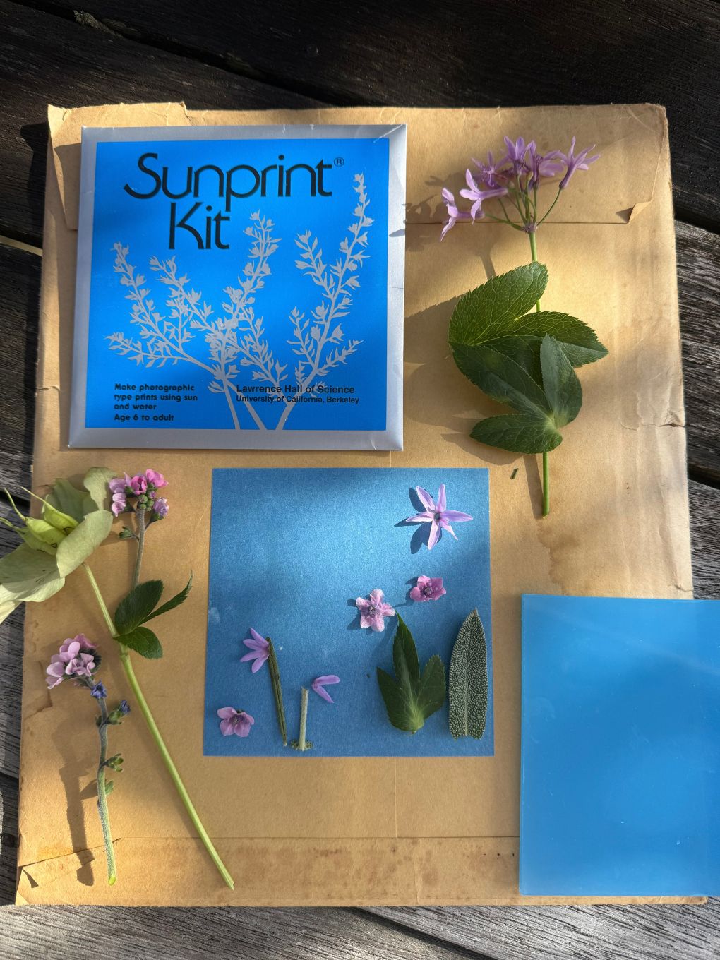 Sunprint Kit