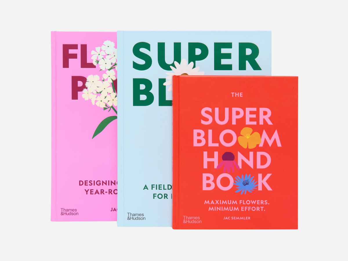 Flower Power - Jac Semmler