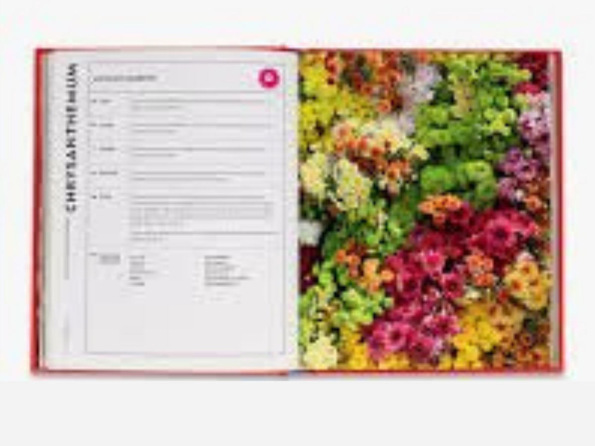 Super Bloom Handbook - Jac Semmler