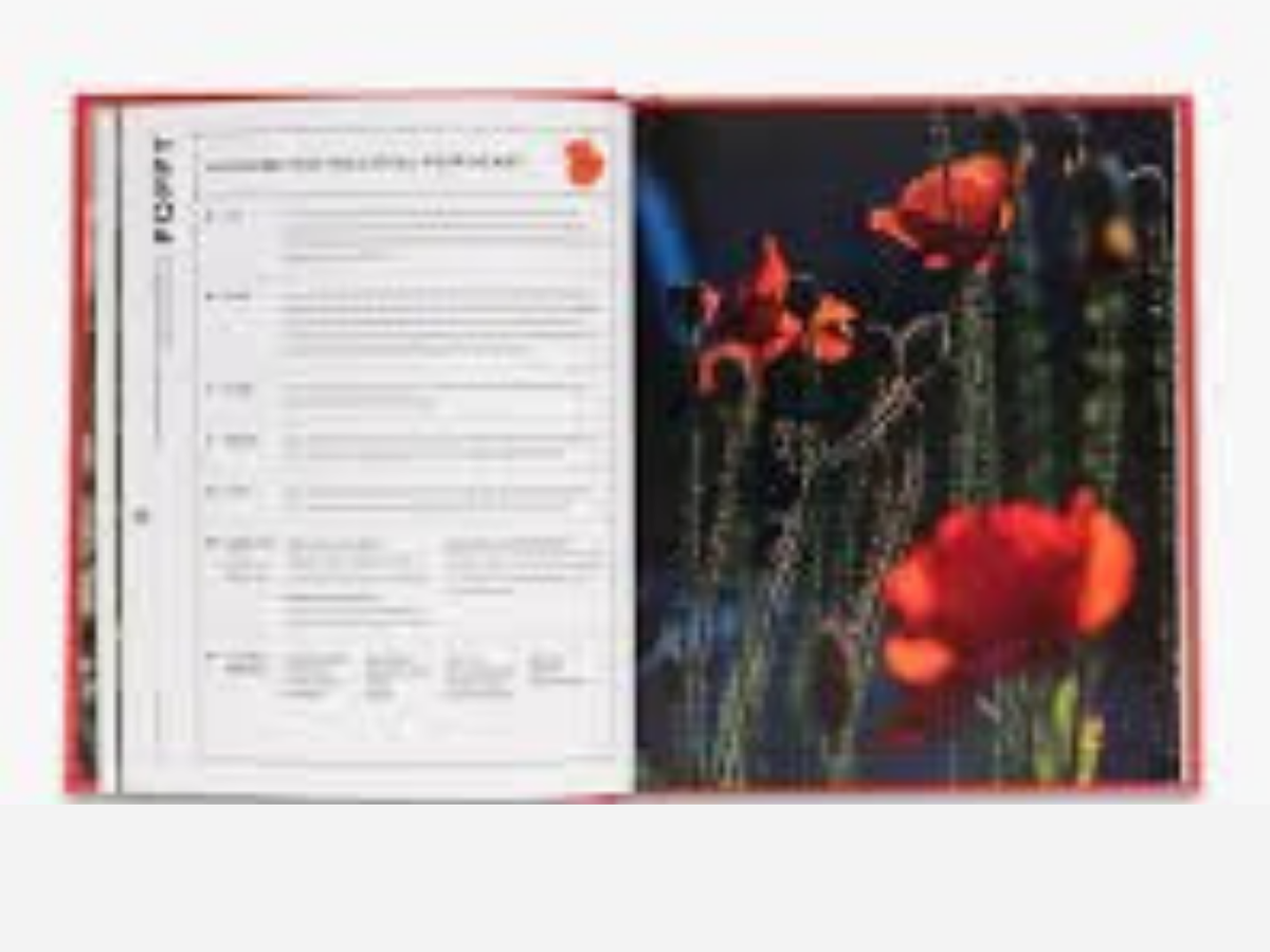 Super Bloom Handbook - Jac Semmler