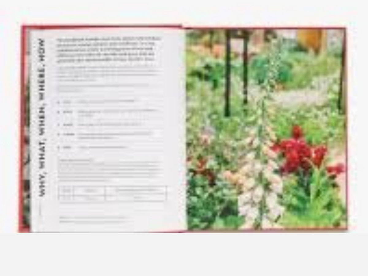 Super Bloom Handbook - Jac Semmler