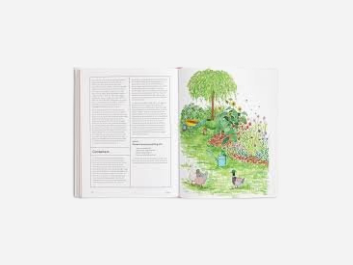 The Picking Garden - Jo Turner