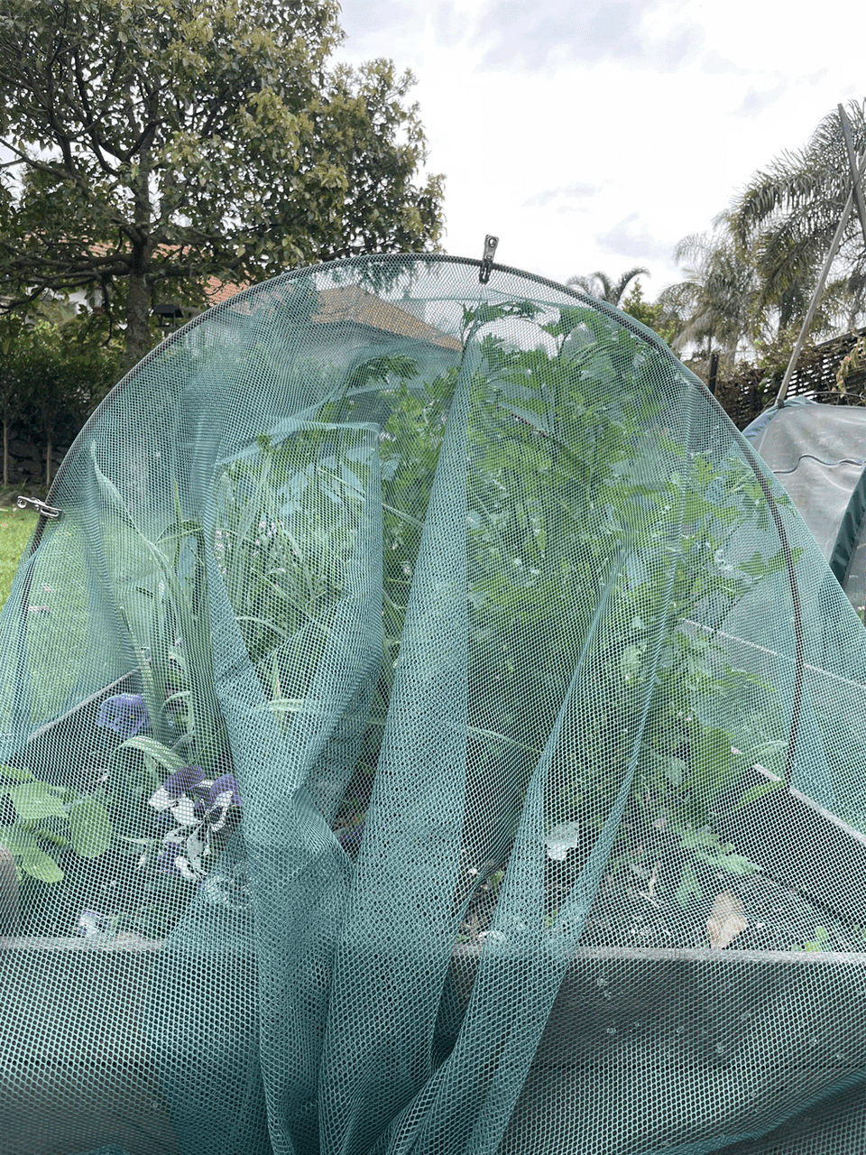 Bugg insect netting in 1m and 2m widths, lightweight mesh fabric for insects protection in gardens and outdoor spaces.