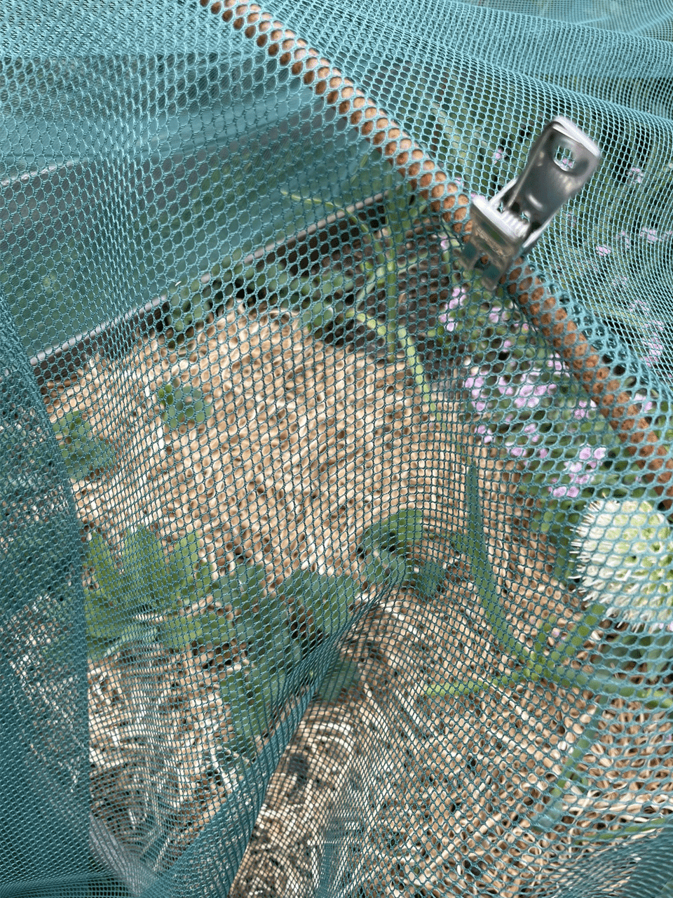 Bugg insect netting in 1m and 2m widths, lightweight mesh fabric for garden pest protection and insect barrier.