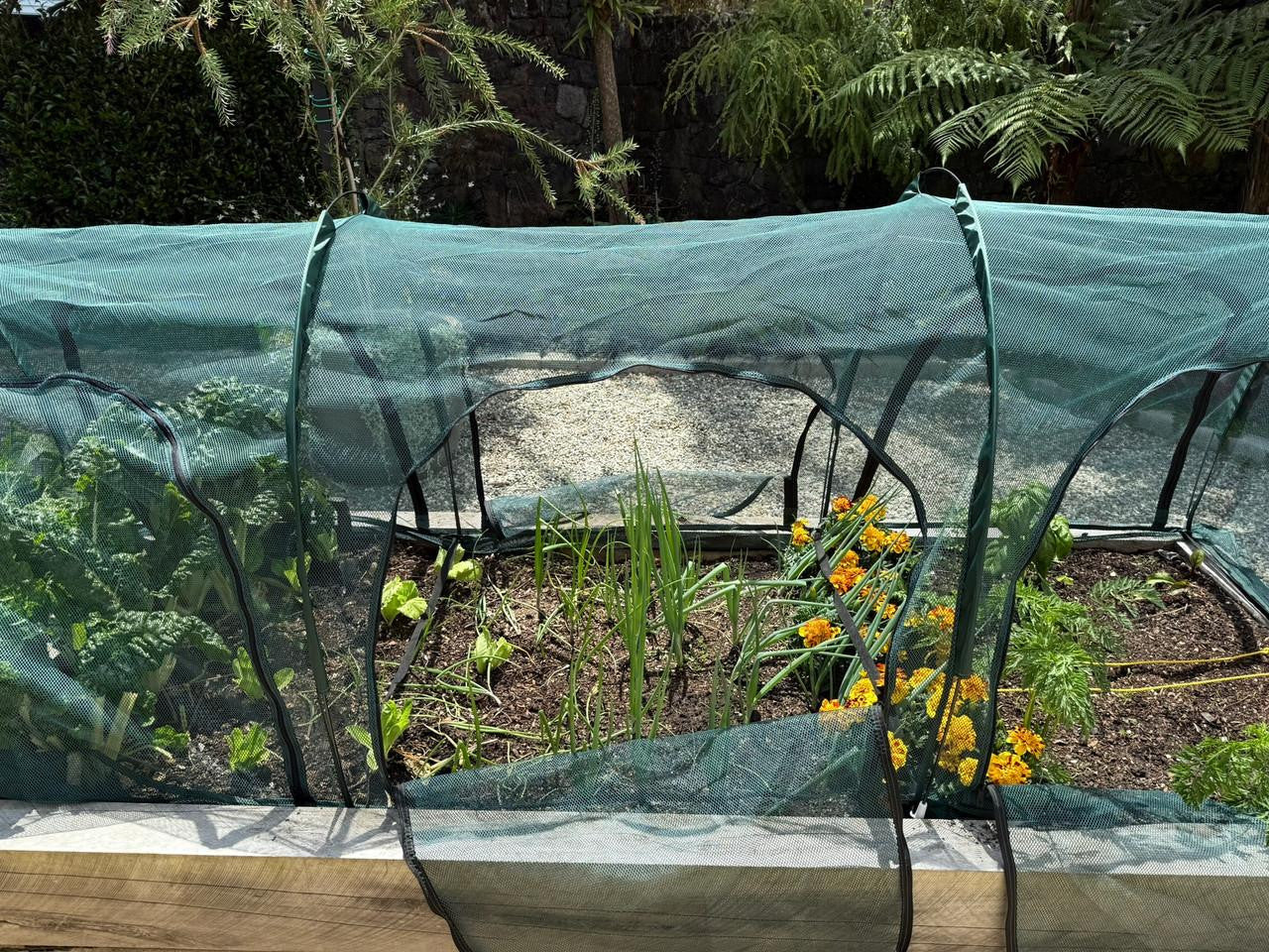 Bugg net tunnel with six openings, 3m x 1m x 1m, made of durable mesh for outdoor insect protection.