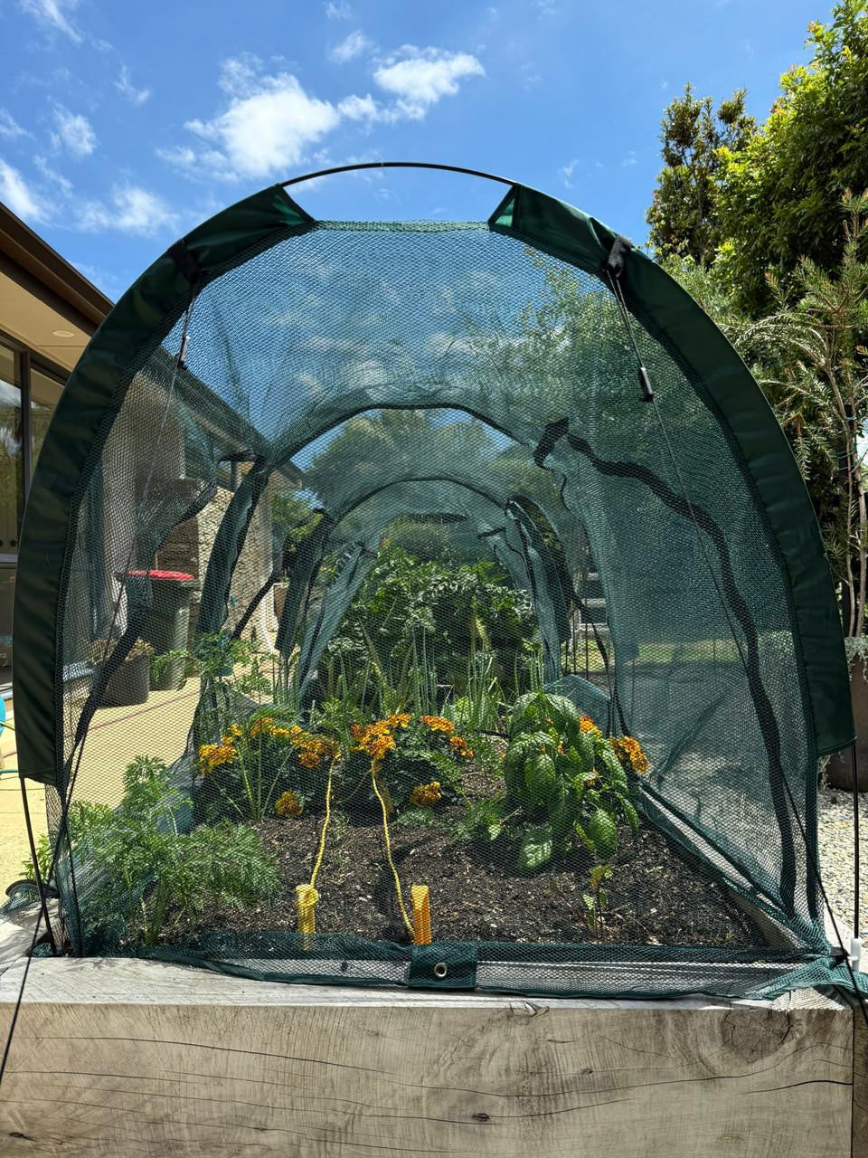 Bugg net tunnel with six openings, 3m x 1m x 1m, visible mesh fabric and six entrance points for pest control or animal enclosure.