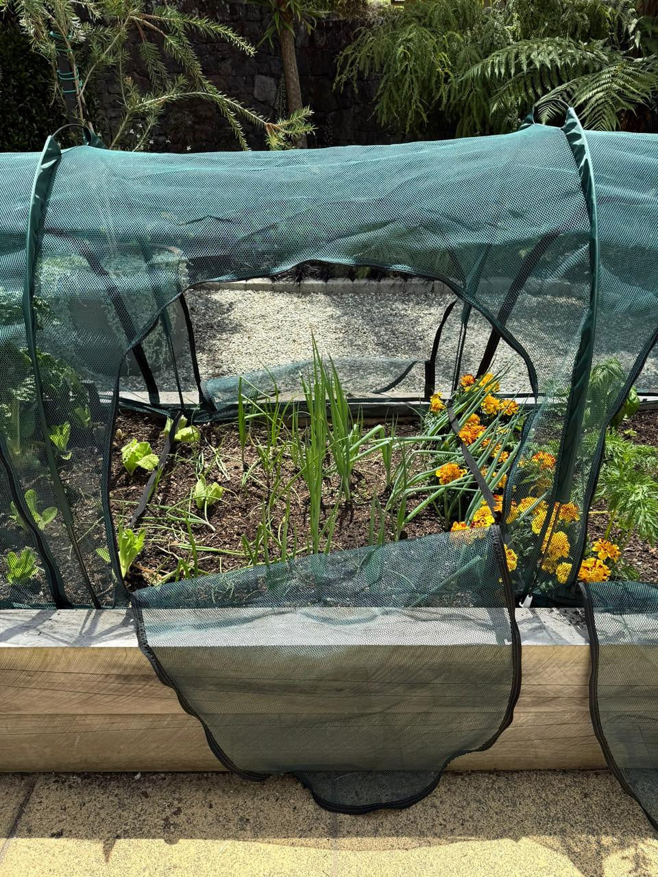 Bugg net tunnel with six openings, 3m x 1m x 1m, made of durable mesh fabric for safe outdoor play or pet enclosure.