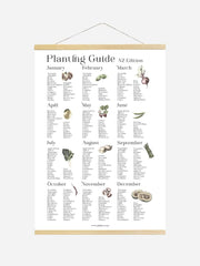 Printable Planting Guide Poster for New Zealand by Gubba, digital download featuring planting tips and garden layout illustrations.