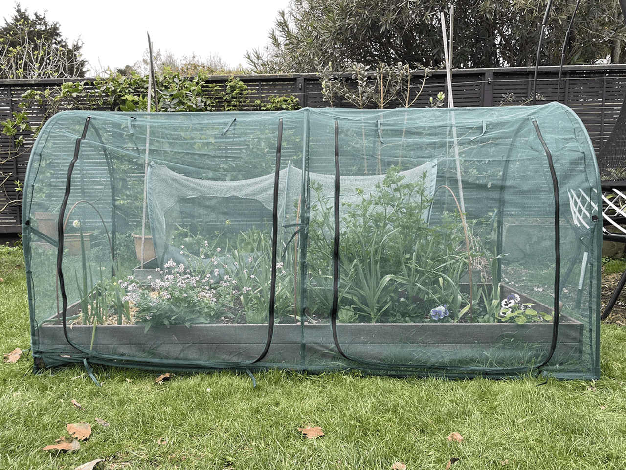Bugg net tunnel measuring 2.5m by 1.25m by 1.25m, showing dual-sided mesh for insect protection and outdoor use.