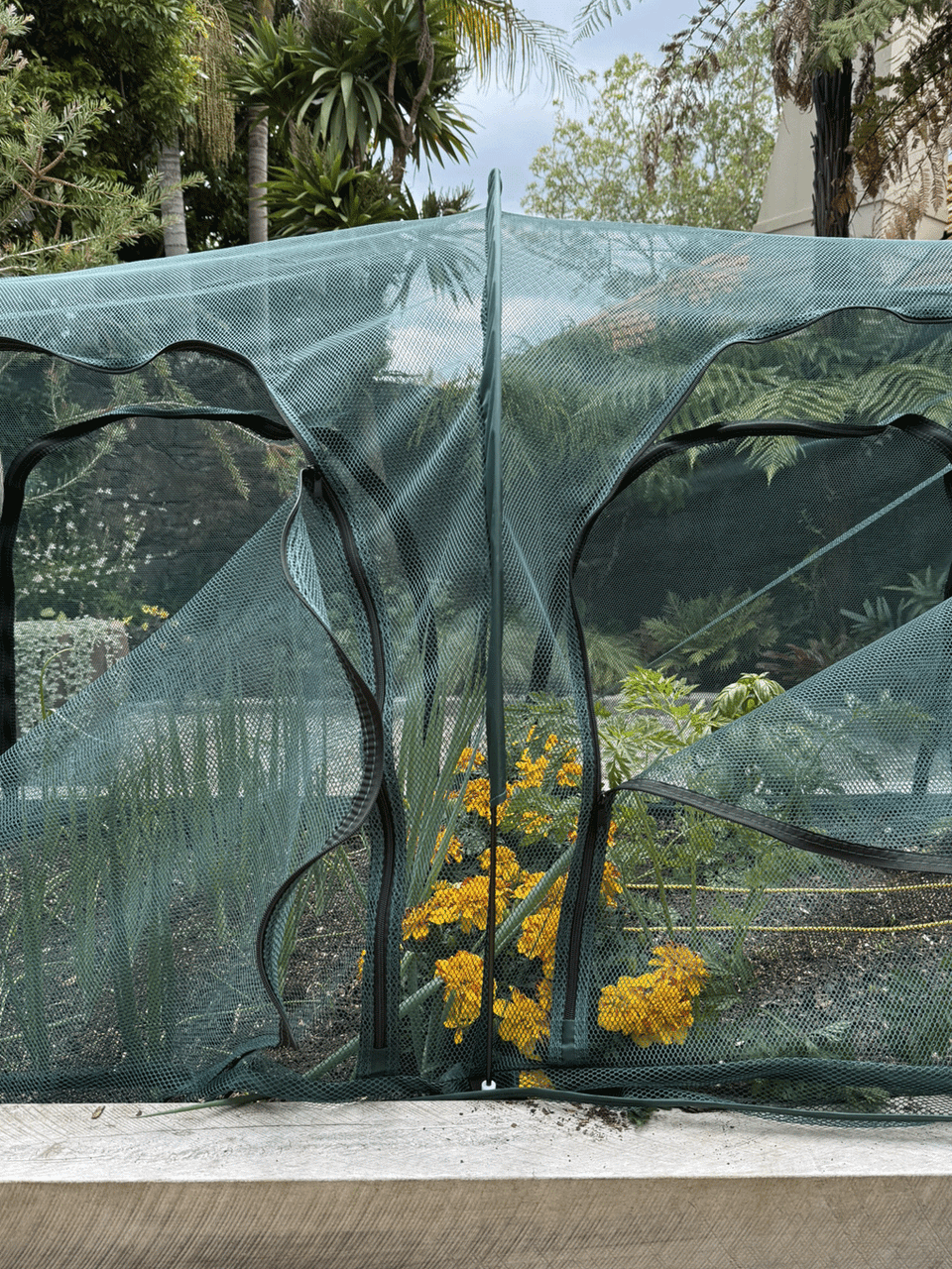 Bugg net tunnel with four openings, measuring 2.5m x 1m x 1m, featuring durable mesh fabric and multiple entry points for outdoor use.
