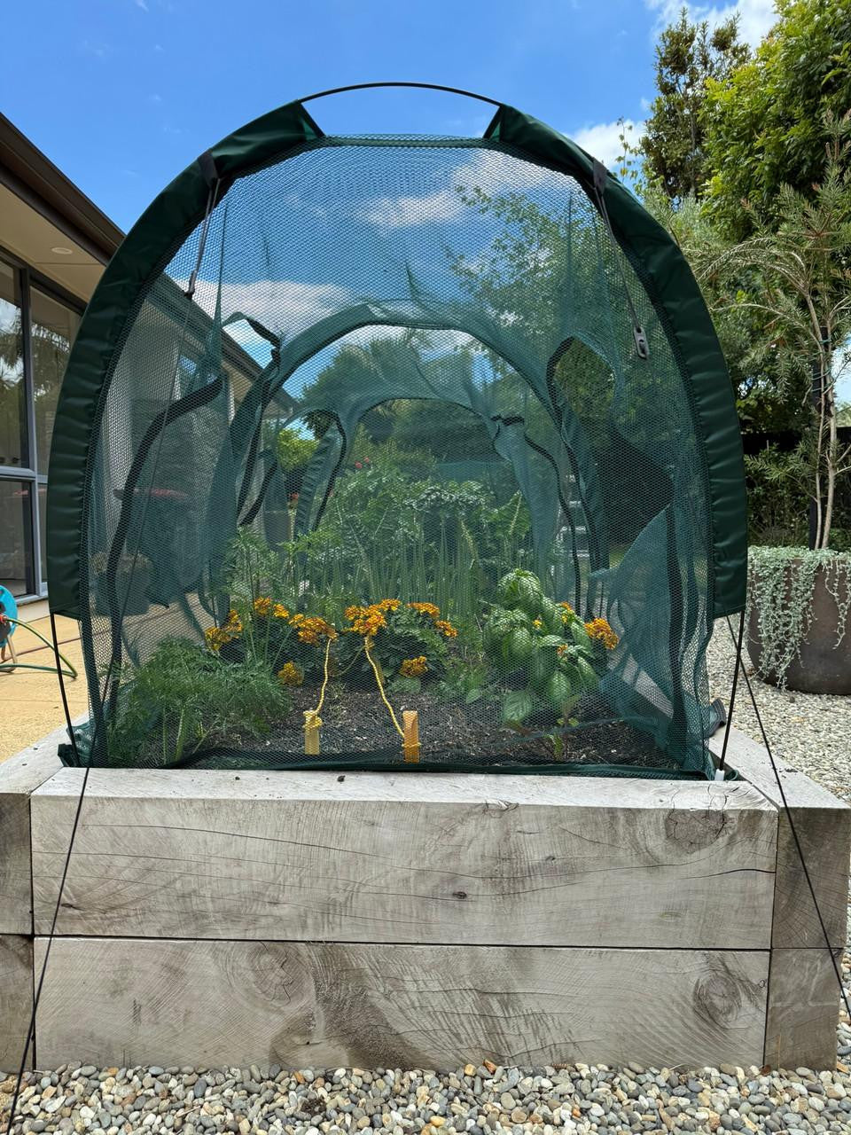 Bugg net tunnel with four openings, measuring 2m x 1m x 1m, designed for outdoor play or animal enclosure.