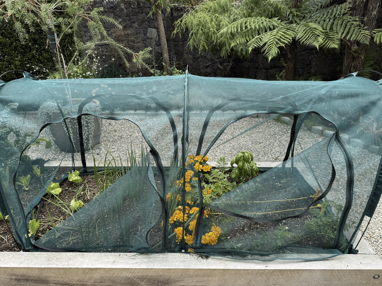 Bugg net tunnel replacement cover with four openings, measuring 2.5m x 1m x 1m, designed for insect protection.
