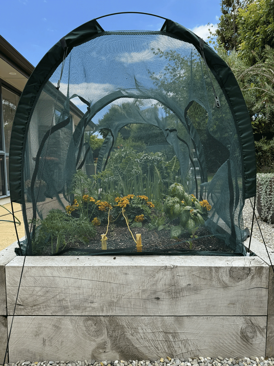 Bugg net tunnel replacement cover with four openings, 2m x 1m x 1m, designed for insect protection and shelter.