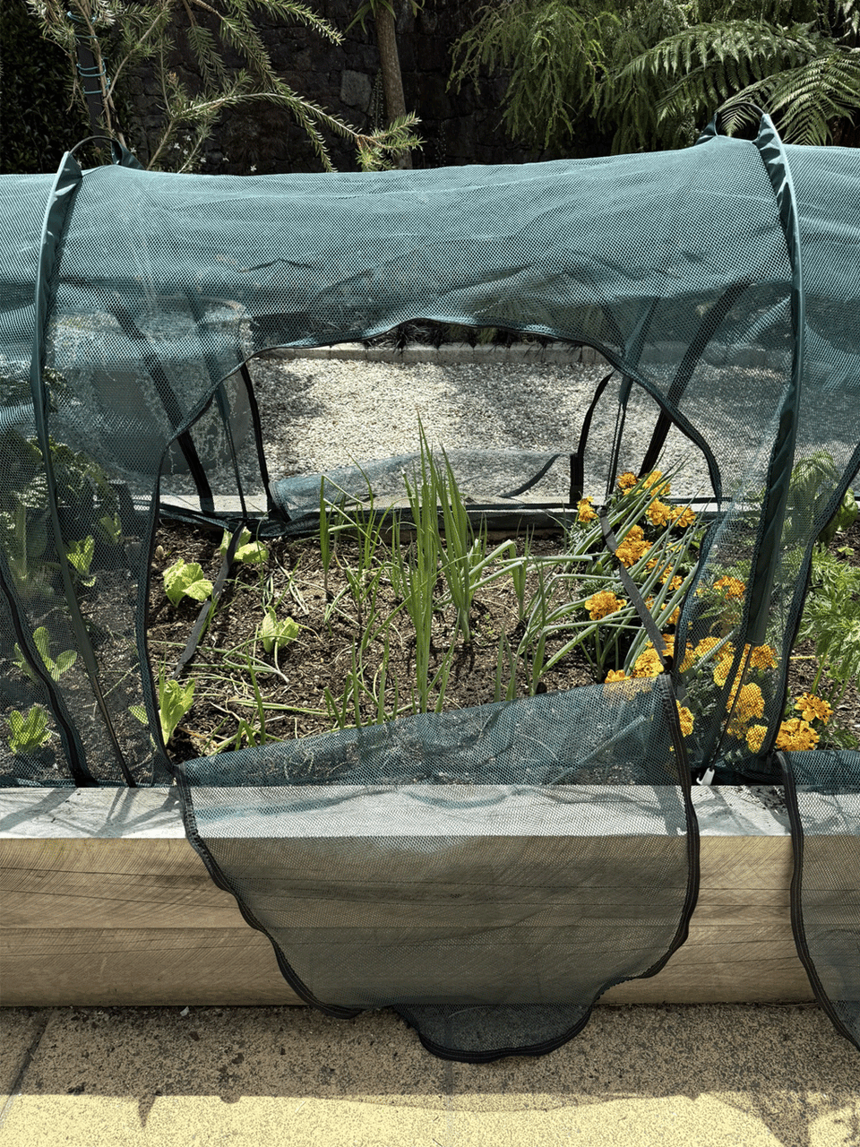 Bugg replacement net cover with four openings for 3m x 1m x 1m net tunnel, durable mesh for insect protection.