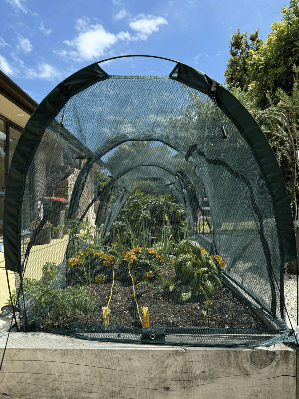 Bugg net tunnel replacement cover with four openings, 3m x 1m x 1m, designed for insect protection and outdoor use.