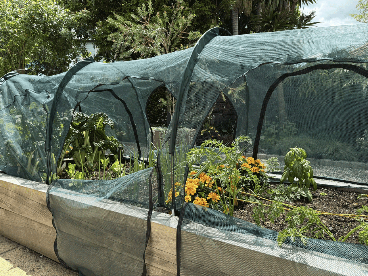 Bugg net tunnel replacement cover with four openings, 3m x 1m x 1m, designed for insect protection and ventilation.