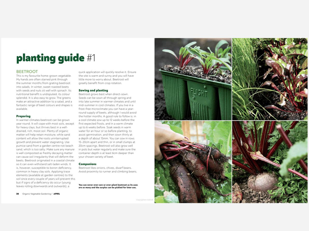Organic vegetable gardening book by Xanthe White from Bugg NZ, featuring gardening tools and fresh vegetables in a lush garden setting.