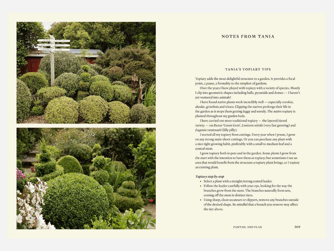 Illustration of the Secret Gardens of Aotearoa book by Jane Mahoney, featuring vibrant garden scenes and floral designs.