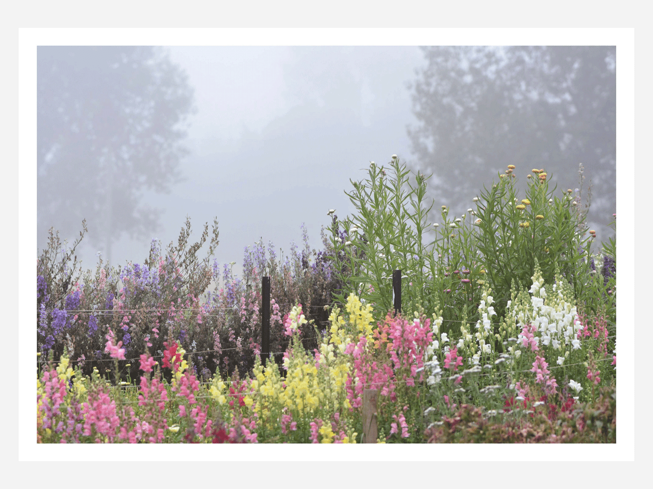 Cover image of "Secret Gardens of Aotearoa" book by Jane Mahoney, featuring lush garden scenes from New Zealand.