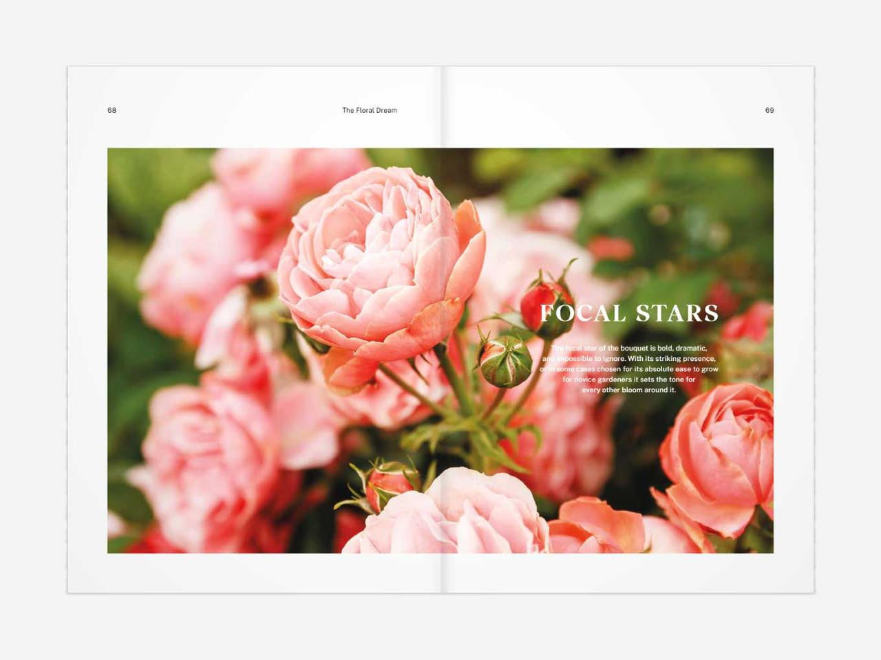 The Floral Dream book by Olivia McCord, featuring colorful floral illustrations on a white background.