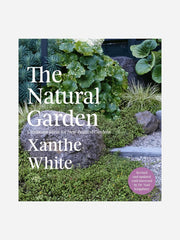 Bugg NZ The Natural Garden Xanthe White plant with white flowers and lush green foliage in a garden setting
