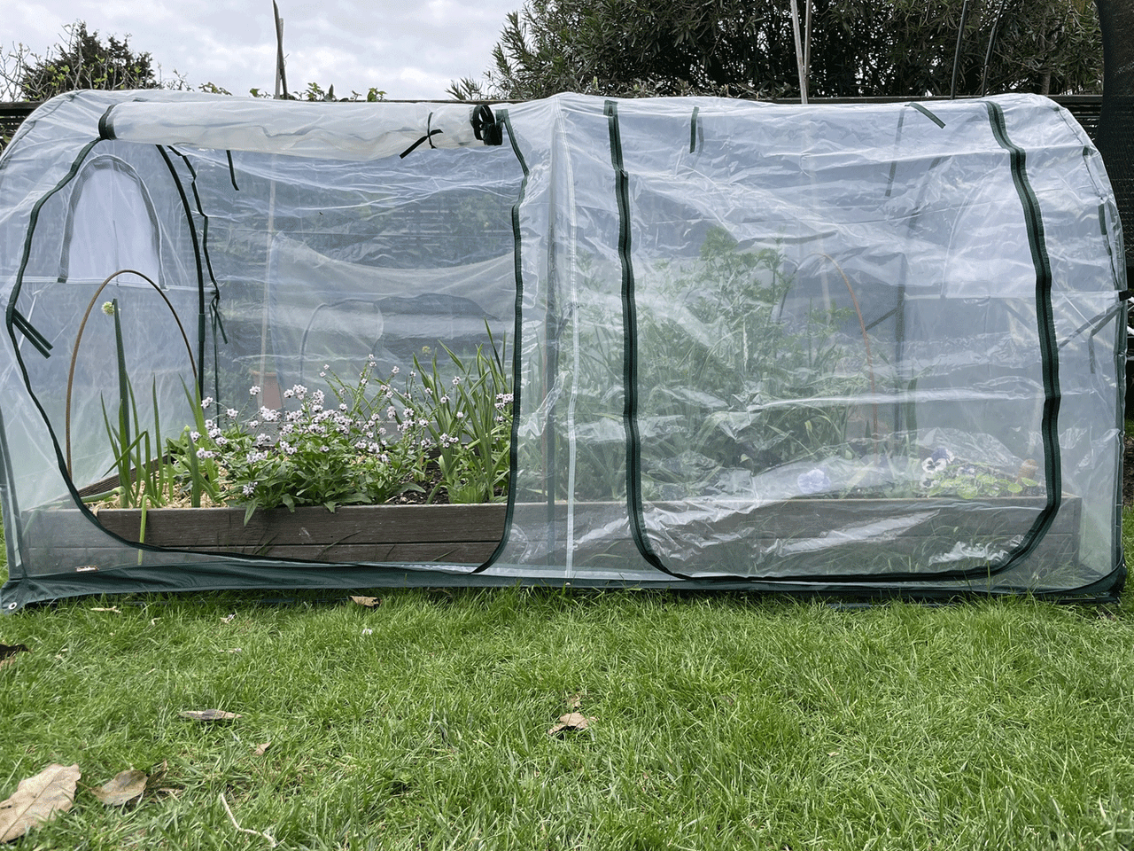 Bugg Poly Tunnel measuring 2.5m x 1.25m x 1.25m, showcasing the durable structure with transparent plastic covering for gardening.
