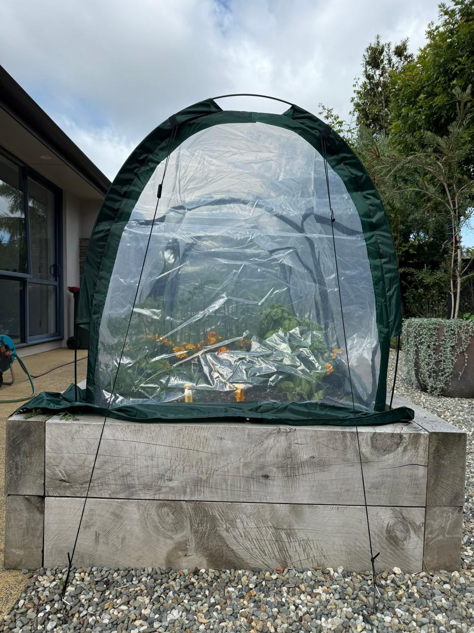 Bugg poly tunnel with four openings, measuring 2m x 1m x 1m, shown with transparent poly covering and sturdy frame.