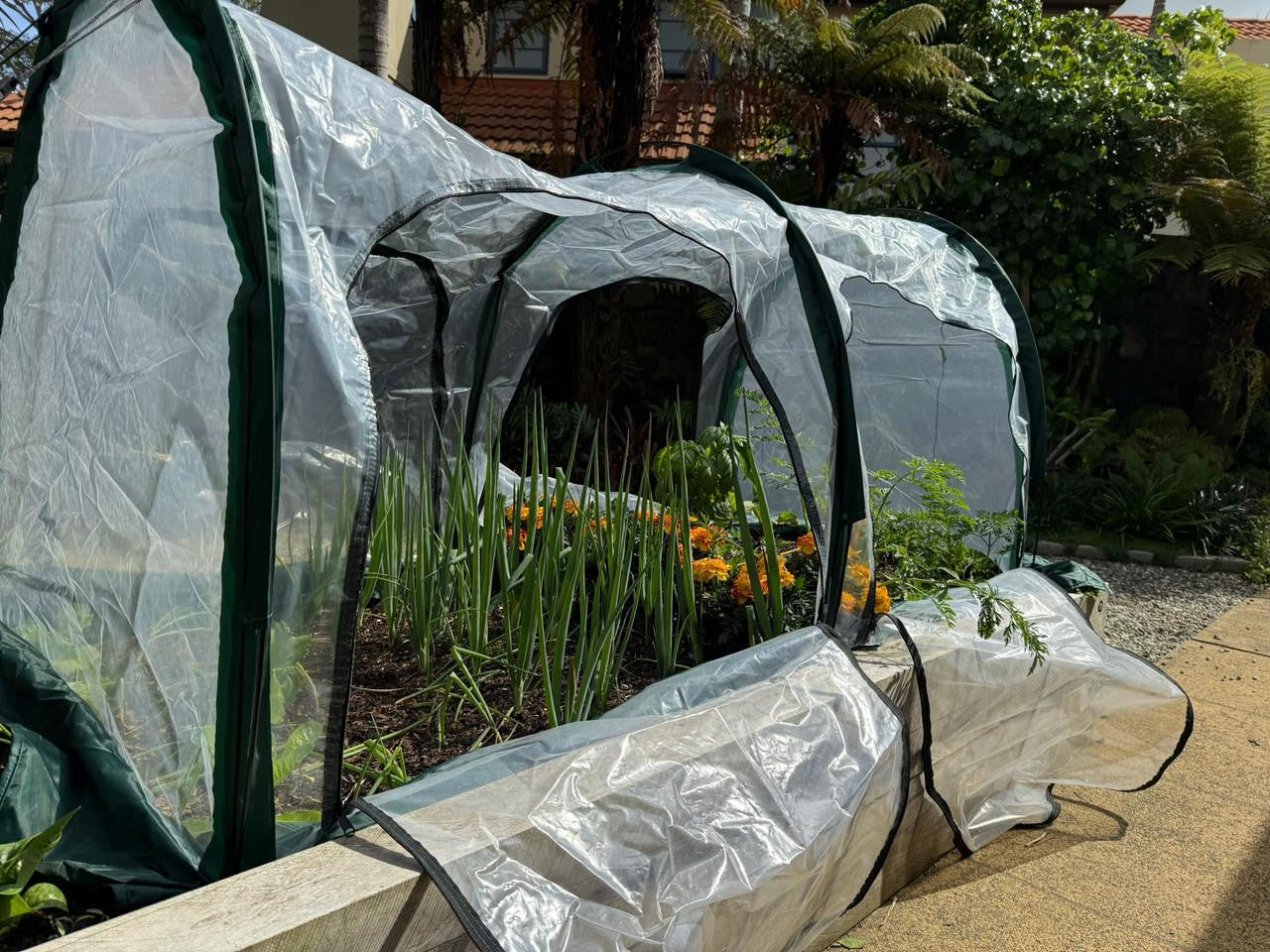 Bugg poly tunnel with four openings, measuring 2m x 1m x 1m, shown in a garden setting with a green frame and clear plastic covering.