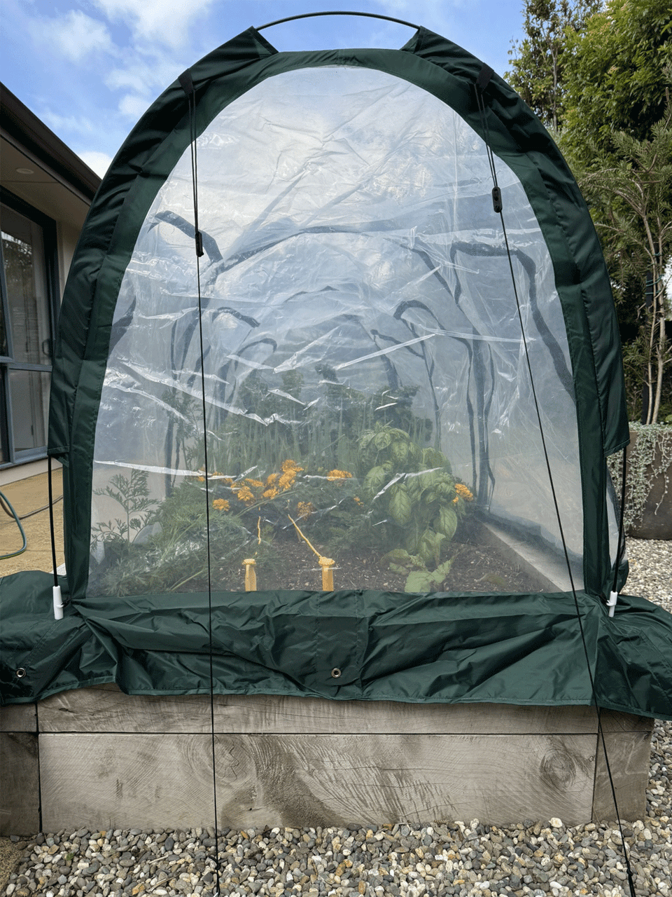 Bugg poly tunnel with six openings, measuring 3m by 1m by 1m, featuring a durable transparent poly cover for gardening.