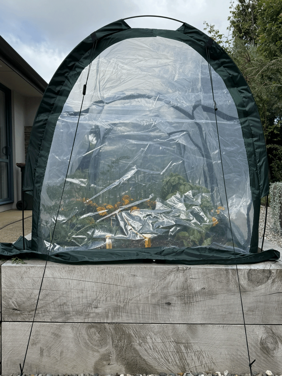 Bugg poly tunnel replacement cover with four openings, measuring 2m x 1m x 1m, made of durable poly material.