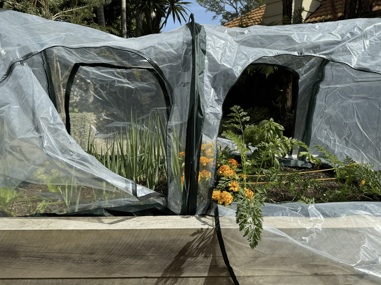 Bugg poly tunnel replacement poly cover with four openings, 2m x 1m x 1m, made of durable poly material for garden protection.