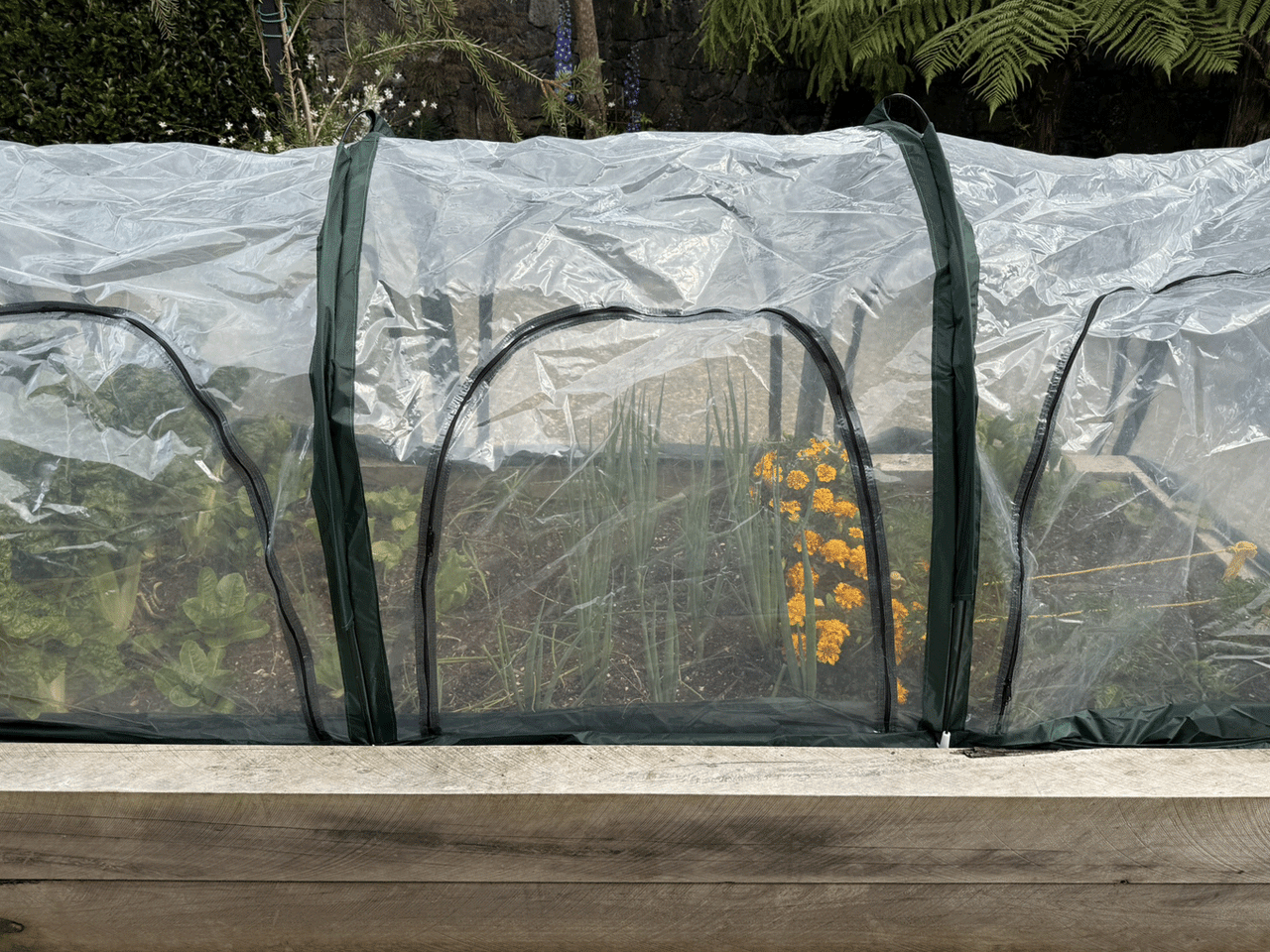 Bugg poly tunnel replacement poly cover with four openings, measuring 3m x 1m x 1m, designed for durable garden protection.