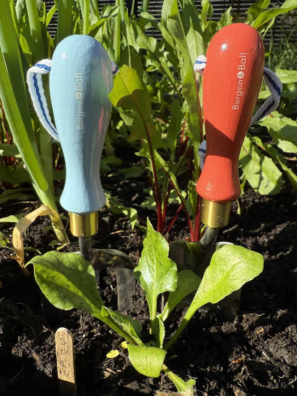 Blue Burgon & Ball Collector Hand Fork with ergonomic handle, ideal for gardening and planting tasks.