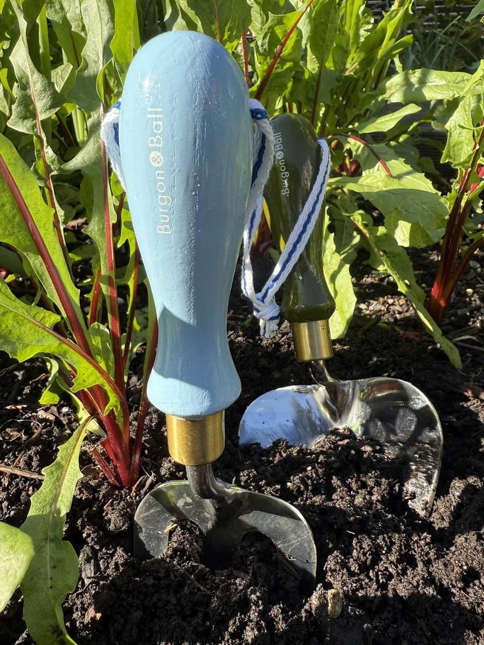 Blue Burgon & Ball Collector Hand Fork with ergonomic handle for gardening and planting tasks.