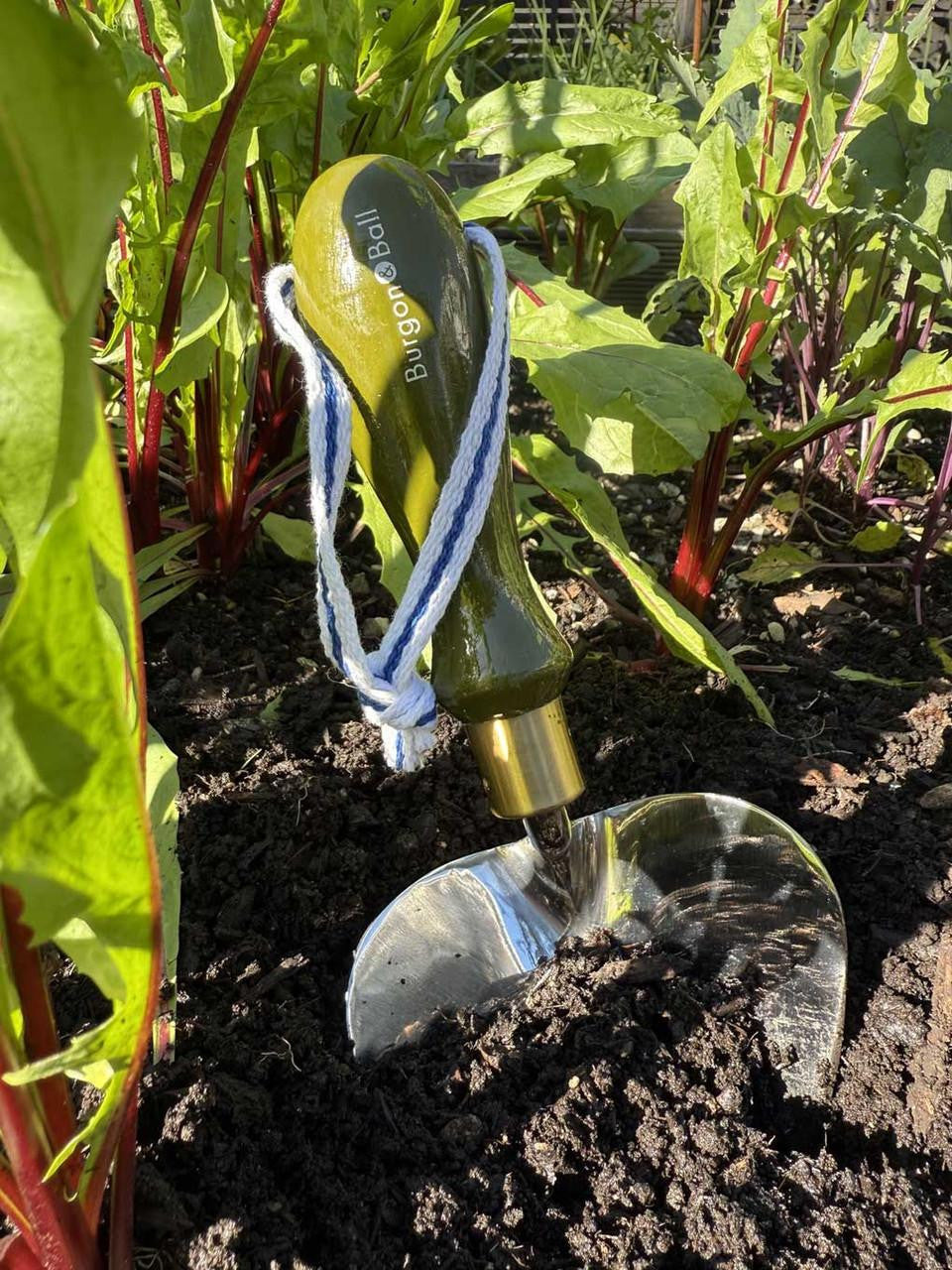 Burgon & Ball Collector Planting Trowel in olive green with wooden handle for gardening and planting tasks.