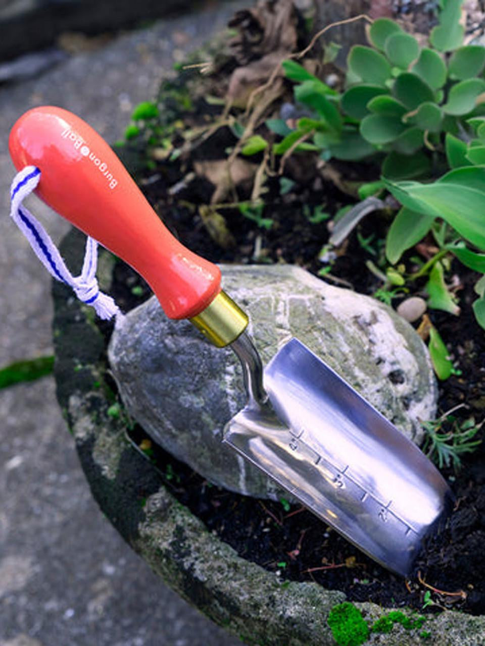 Red Collector Transplanter by Burgon & Ball, with a curved metal head and ergonomic handle for transplanting plants and bulbs.