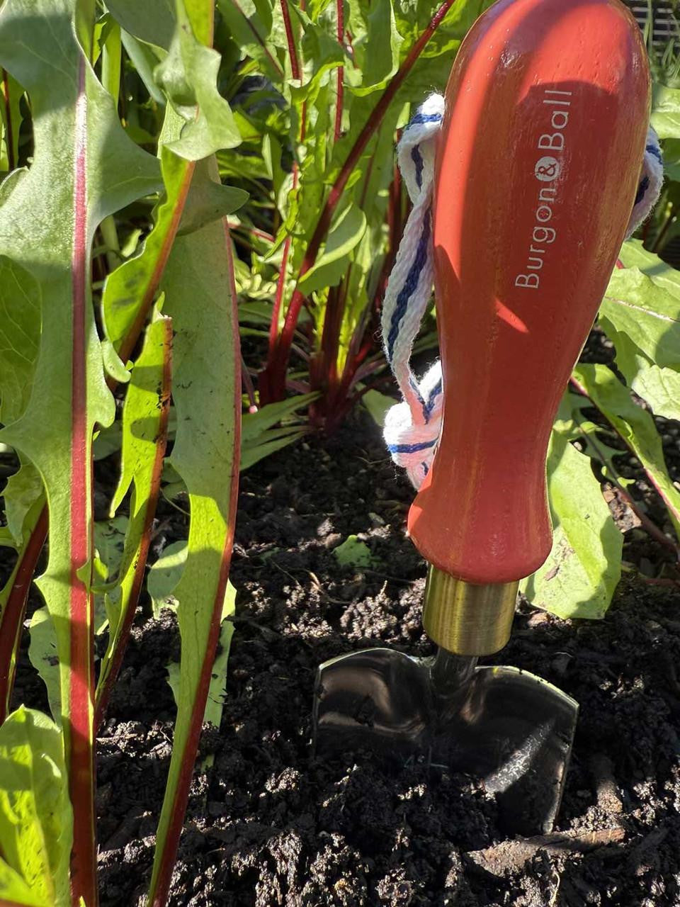 Red Burgon & Ball Collector Transplanter with a curved handle and metal scoop for transplanting plants and bulbs.