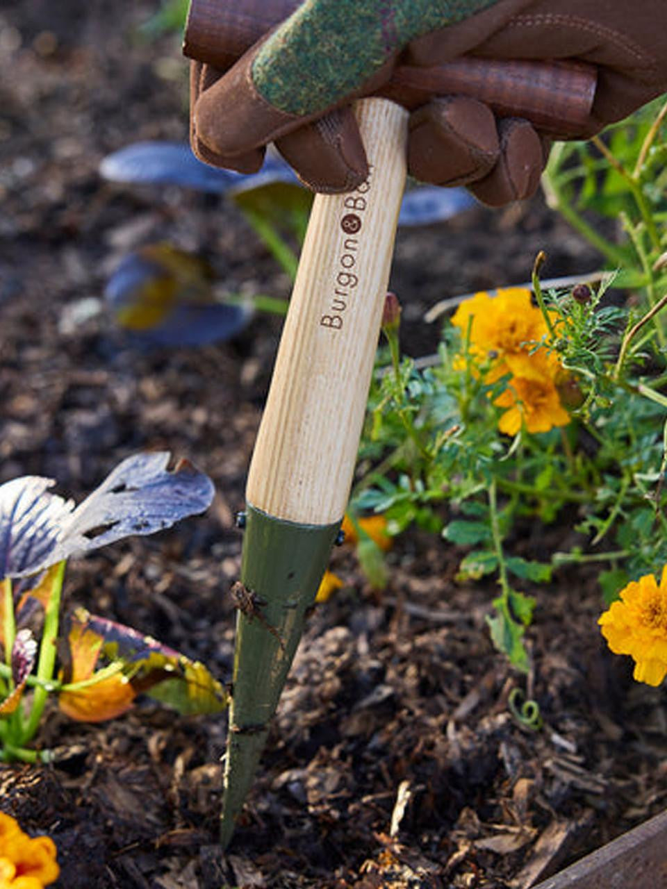 Burgon & Ball Dibber RHS Boron Green gardening tool with a wooden handle and green metal head for planting and soil work