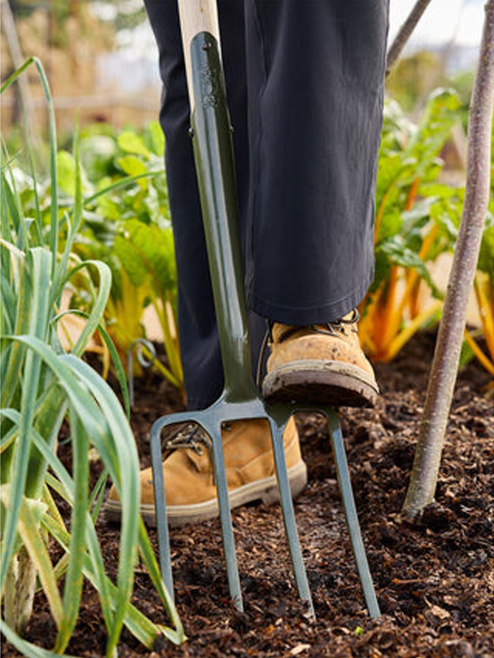 Burgon & Ball Boron Green digging fork with sturdy metal tines and wooden handle, ideal for gardening and soil work.
