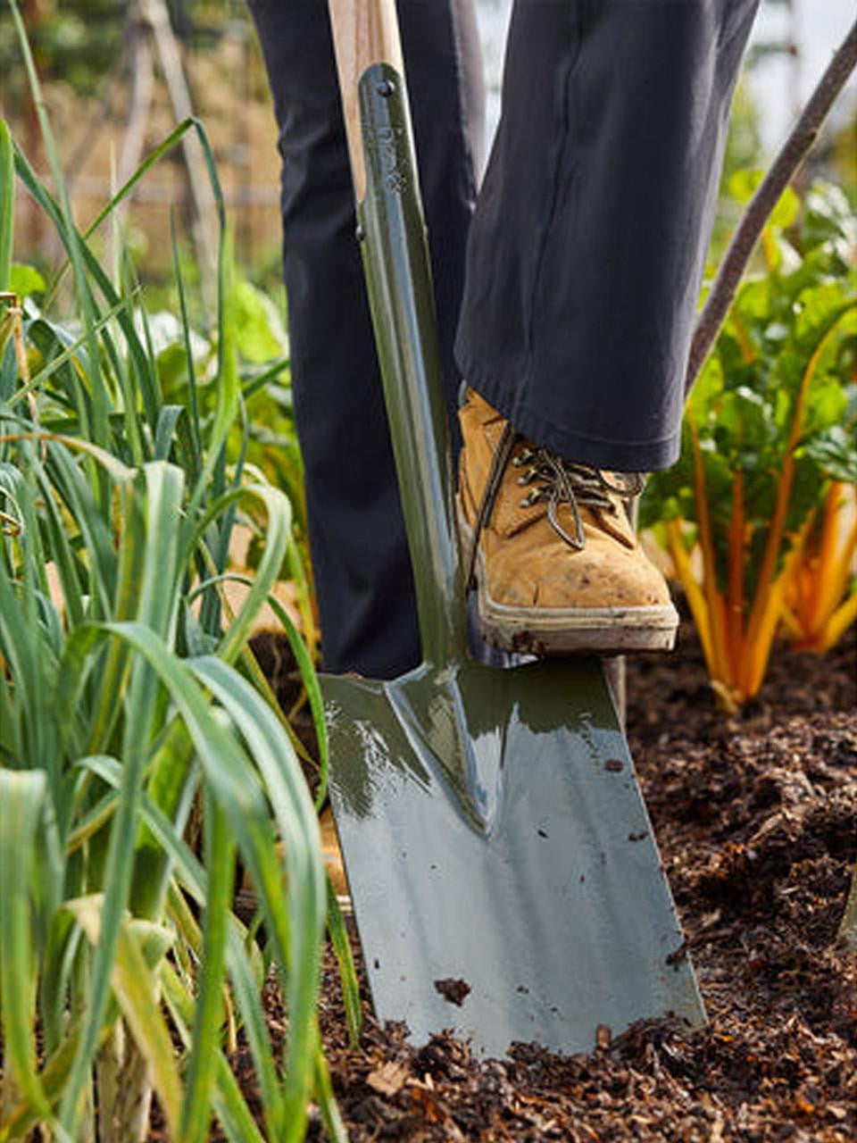 Burgon & Ball Boron Green digging spade with wooden handle and metal blade for gardening and planting tasks.