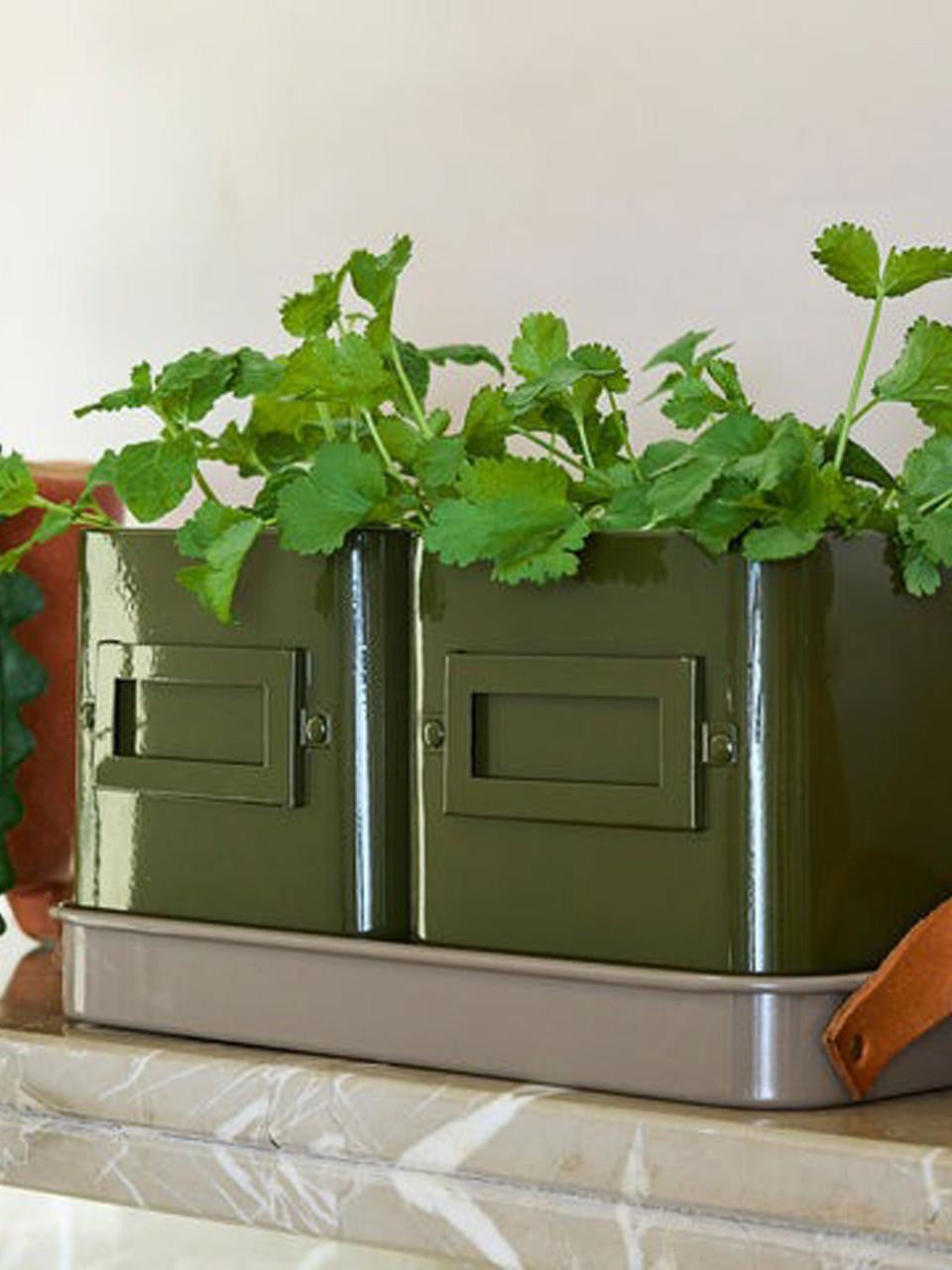 Olive green Herb Pots by Burgon & Ball, perfect for indoor or outdoor herb gardening with durable ceramic design.