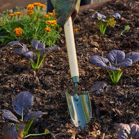 Burgon & Ball mid handled trowel in boron green with a wooden handle, ideal for garden planting and soil work.