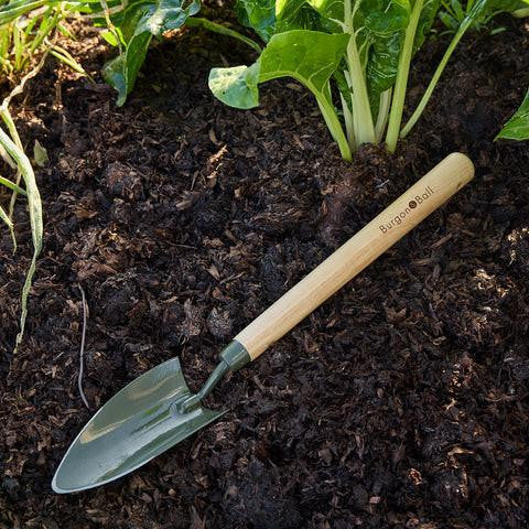 Mid-handled Boron Green trowel by Burgon & Ball, with a sturdy metal blade and ergonomic handle for gardening and planting tasks.