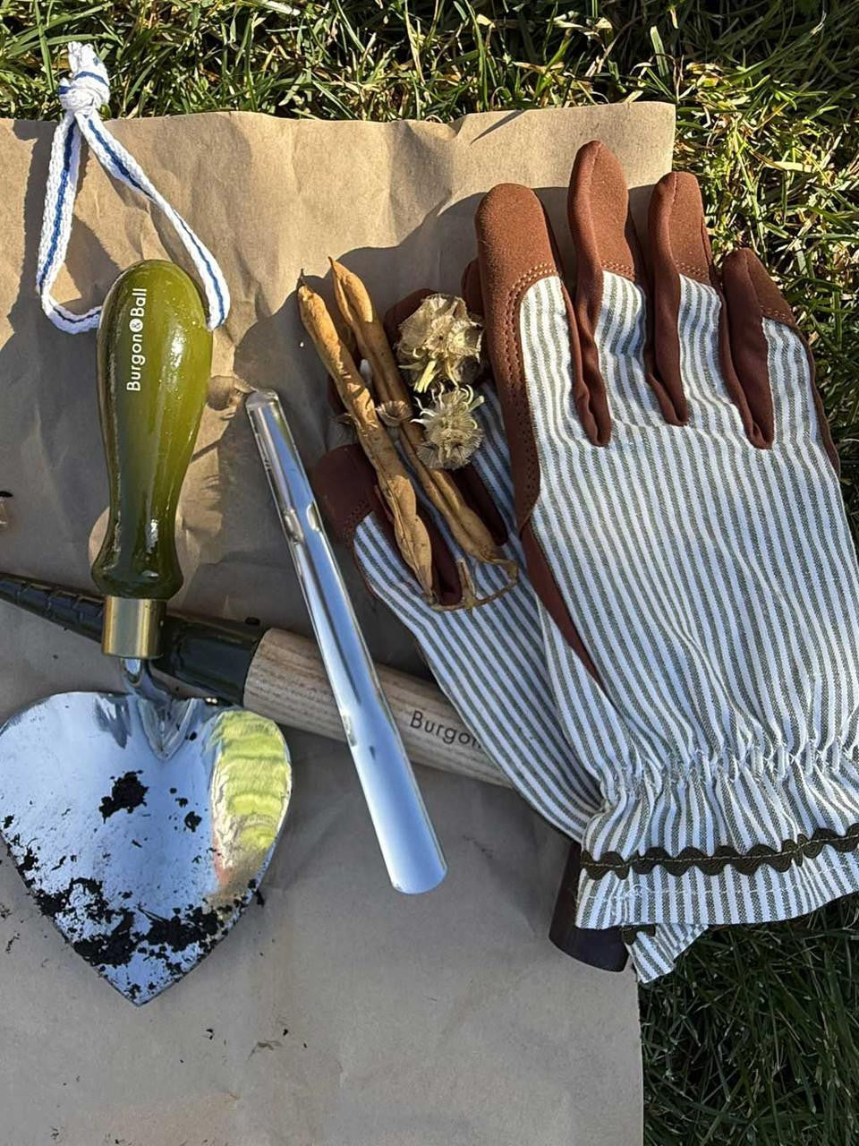 Burgon & Ball seedling widger with wooden handle and metal tip for planting seedlings in garden soil.