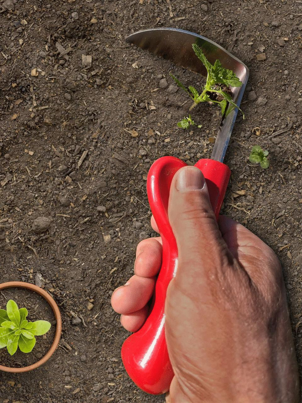 Clark Cultivator, a hand tool with metal tines and a sturdy handle, designed for cultivating soil in gardening and farming.