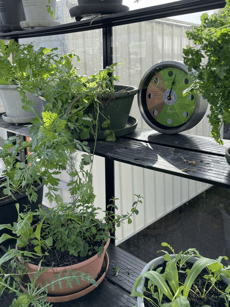 Bright Gardening by the Moon clock by Cruising Electronics showing a lunar calendar and gardening tips on a colorful display.