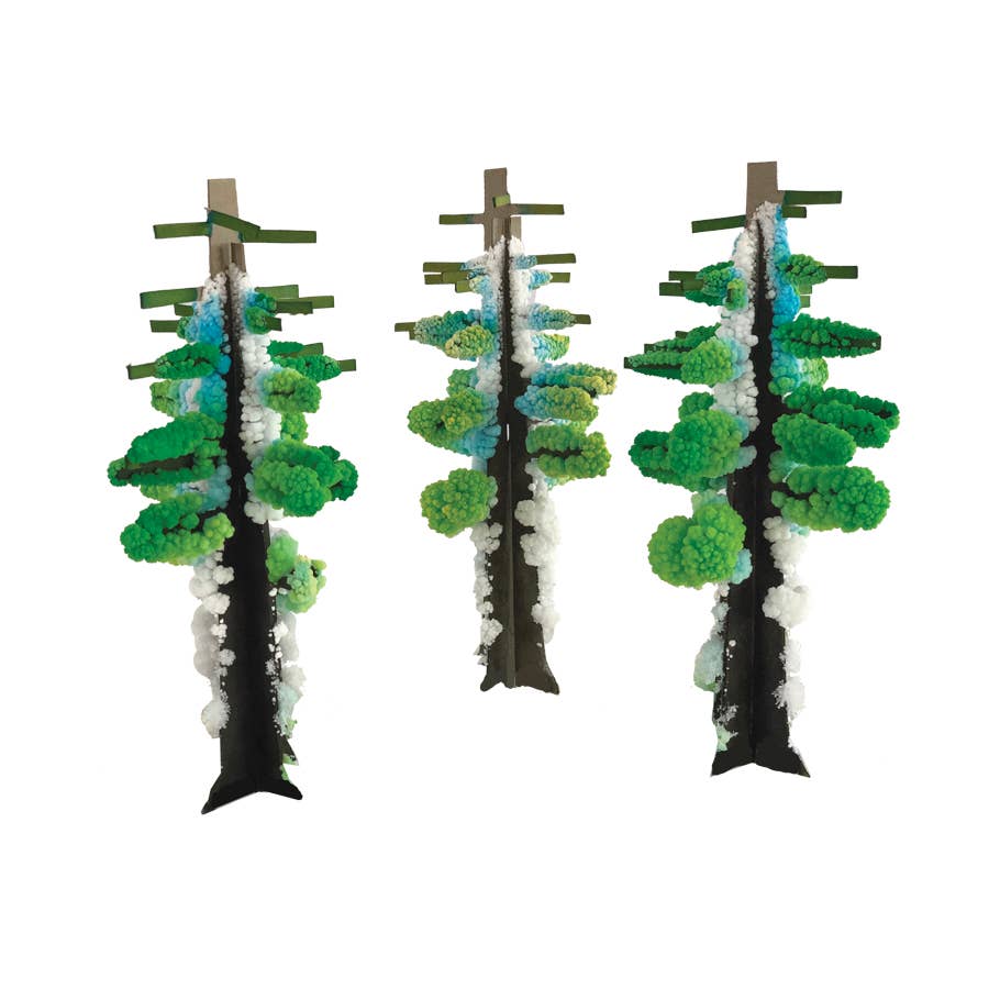 Crystal Growing Redwood Forest | Craft Kit Science Kit