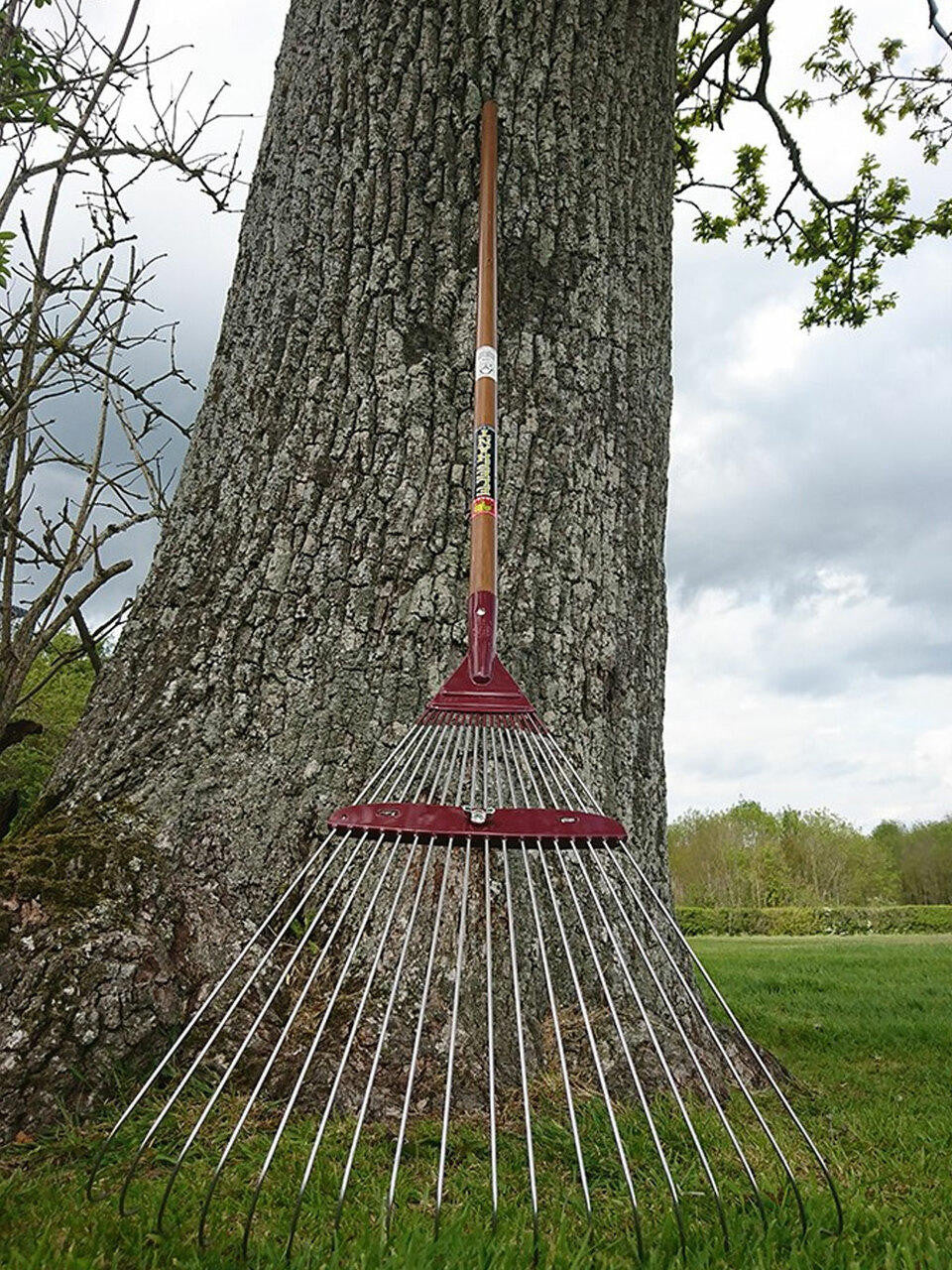 Elephant Tools rake with sturdy handle and metal tines, ideal for yard cleaning and leaf collection.